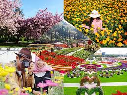 Namun perlu diingat bahwa uraian yang kami sampaikan diatas hanyalah bersifat ramalan saja, dan seperti kita ketahui bersama bahwa yang namanya ramalan belum tentu dapat. Indonesia Punya Banyak Taman Bunga Loh Ayo Berkunjung Ge