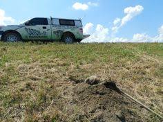 No matter how much you ignore these creatures, eventually it gets impossible to tolerate the constant. Catch It Wildlife Pest Control Sdppds Profile Pinterest