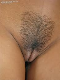 To go bare, bushy, or something in between has been a personal decision women have weighed since the 1980s when pubic hair styles became a thing. Blonde Pubic Hair Close Up Pussy Picsninja Com