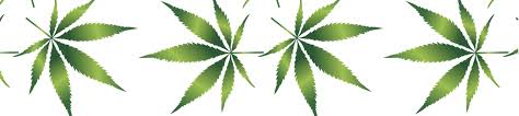 Hemp can be found all over aeternum, but it can be a little tricky to find if you don't know where to look. The Brave New World Of Cbd Wow Beauty Holistic Beauty Wellbeing