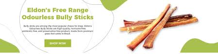Bully sticks aren't just a safe treat for dogs, but offer a variety of health benefits, and give your dog something to chew. What Are Bully Sticks Made From The Facts Myths And Nutrition