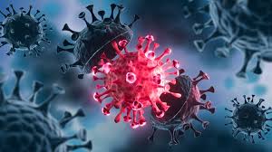 On monday india vaccinated a record 8.6 million people as it began offering free shots to all adults. India Reports Around 40 Cases Of Delta Plus Variant Centre Telegraph India