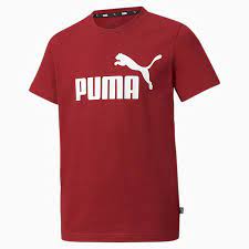 Check spelling or type a new query. Vetements A Capuche Et Sportwear Pour Garcons Puma