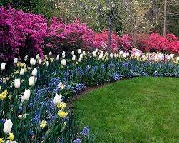 Beetgestaltung Ideen Und Hilfreiche Tipps Fur Schone Blumenbeete Im Garten Inselbeet Rasen Blumenbeeteanlegen Pfla Blumenbeete Schone Blumen Beetgestaltung