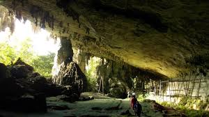 Di sarawak terdapat tempat pemuliharaan rafflesia iaitu taman negara gunung gading yang pada mulanya dijalankan secara tertutup. Niah Caves National Park Taman Negara Gua Niah National Parks Taman Negara Sarawak
