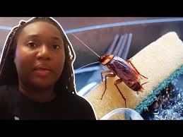 Luvd By Erica -The Clean Up AFTER The ROACH INFESTATION!