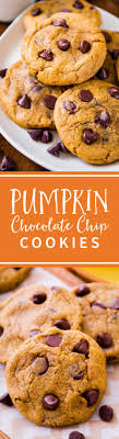 Chewy Not Cakey Pumpkin Chocolate Chip Cookies A Chewy Pumpkin Cookie Is Hard To Co Pumpkin Chocolate Chip Cookies Pumpkin Chocolate Pumpkin Chocolate Chips