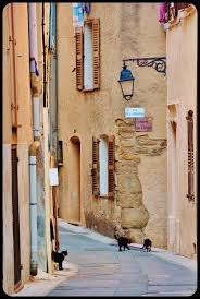 Epingle Sur Roquebrune Sur Argens Les Issambres