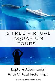 65 Virtual Field Trips For Kids Of All Ages Tiaras Tantrums In 2020 Virtual Field Trips Field Trip Travel With Kids