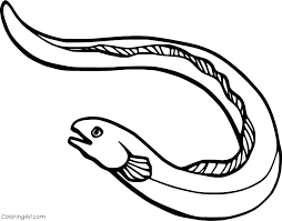 Eel Coloring Pages Coloringall How to draw the grinch easy. eel coloring pages coloringall