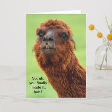 Funny Llama Graduation Card Zazzle Com Graduation Cards Funny Birthday Cards Birthday Cards
