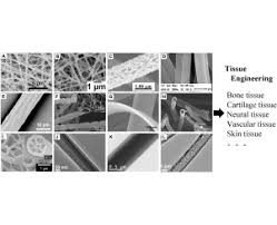 Maybe you would like to learn more about one of these? Resorbable Polymer Electrospun Nanofibers History Shapes And Application For Tissue Engineering Sciencedirect