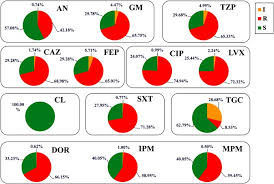 Image result for Striga baumannii