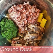 They can be obtained by completing main quests, side quests, as rewards from the minigames, randomly while adventuring, through affection milestones, or won in npc chance machines (rare). Easy Raw Dog Food Recipe Duck Grind With Sardines Answers Pet Food Cheese Turmeric And Veggie Mix Raw Dog Food Recipes Dog Food Recipes Raw Dog Food Diet