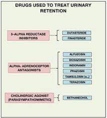 Pin On Urinary