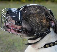 Réglable en continu fermeture velcro supplémentaire sur l'arête du nez pour une forme parfaitement adaptée empêche de mordre, mordiller et aboyer adapté 'à' des utilisations courtes grillage résistant. Museliere Metallique Au Chien Comme Bouledogue Americain M4 B3