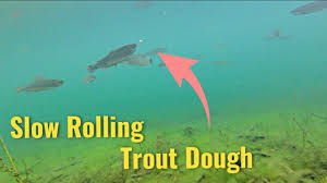 One of the most important steps of trout fishing is setting up the proper rig. How To Rig A Trout Line Beginners Guide Finn S Fishing Tips