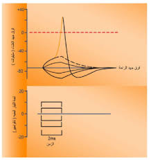 pin by chemistry on الحيوية chart line chart diagram
