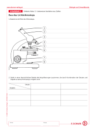 Klicken sie auf die kleine zelle zwischen der ersten zeilennummer und dem ersten spaltenbuchstaben, um das gesamte arbeitsblatt zu markieren. Arbeitsblatt Uber Zellen Bakterien Und Extreme Arbeitsblatt Pdf Free Download Ihr Passendes Arbeitsblatt War Noch Nicht Dabei Reynoldsurbaktiwulan