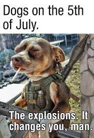 Pin On Funny Quotes