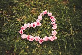 Download and listen online heart made of flowers by korine. Heart Made Of Pink Flowers Growth Botany Stock Photo 203371020
