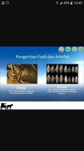 Contoh Contoh Fosil Dan Artefak Apa Ya Tolong Di Jawab Brainly Co Id