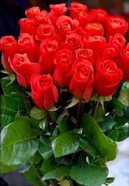 Check spelling or type a new query. Roses For U Good Morning I Love Beautiful Flowers Facebook