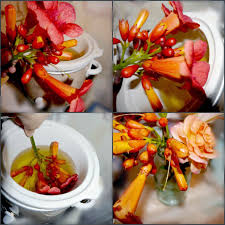 Mix a solution of 2 cups of warm water, 1 tablespoon of salt, 1 tablespoon of liquid dish soap and 1/2 cup of vinegar. Suzy Homefaker Wax Dipped Flowers How To Preserve Flowers Diy Crafts For Gifts Diy Flowers