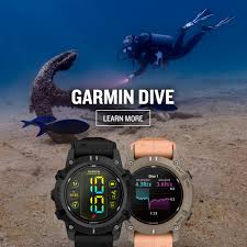 Image result for diving watch