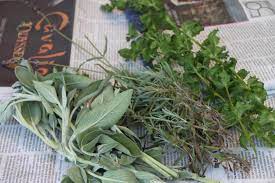 We did not find results for: Dried Herbal Bunches Are A Natural Mosquito Repellent Hgtv