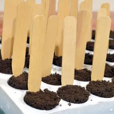 Maybe you would like to learn more about one of these? T Stakes Plastic Label Pack Of 2 Worldseedsexpress