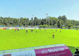 Schon nach drei minuten zappelte der ball erstmals im brühler. Hart Erkampftes Remis Beim Sc Cham Wynentaler Blatt