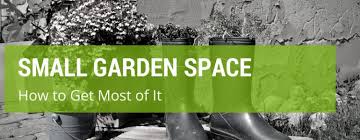 A patio, courtyard or balcony is the perfect spot for a few pots, planters or even a raised bed so why not use them to grow your own vegetables. 16 Top Tips For Making The Most Of Your Small Garden