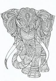Hundreds of free spring coloring pages that will keep children busy for hours. Pin On Mandala