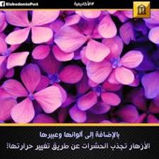 تندرج المجرات ضمن تجمعات كبيرة تسمى مجموعات وعناقيد المجرات كما هناك ما يسمى عناقيد مجرية هائلة Superclusters وهي عبارة عن تجمعات كونية ضخم Movie Posters Movies