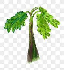 Chinese Wind Ink A Banana Tree Chinese Style Ink Chinese Painting Png Transparent Clipart Image And Psd File For Free Download In 2021 Painting Banana Chinese Painting Banana Tree