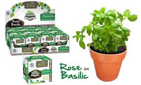 Idéale aussi pour le jardinier urbain, la culture en pots est la solution aux problèmes d'espace. Kit De Jardinage Pot Graines Mgm Picwictoys