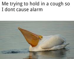 We would like to show you a description here but the site won't allow us. Me Trying To Hold In A Cough So I Dont Cause Alarm Meme Memezila Com