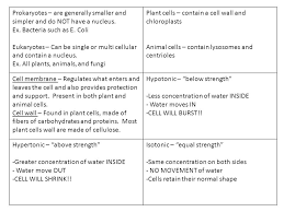 The cell wall also prevents the plant cell from swelling or shrinking as much as an animal cell would if placed in different liquids. What Is The Difference Between Prokaryotes And Eukaryotes Describe The Functions Of The Cell Membrane And Cell Wall Classify A Solution As Hypertonic Ppt Download