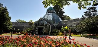 Summer flower show may 8 through october 3, 2021 the summer flower show features a harmonious color palette of purple, magenta, lavender, and red summer annuals. W W Seymour Botanical Conservatory Metro Parks Tacoma