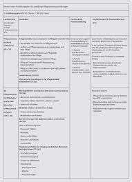 Fazit facharbeit praxisanleiter / der praxisanleiter spielt dabei eine wesentliche rolle. Grundlagen Der Pflegepadagogik Verstehen Und Anwenden Springerlink
