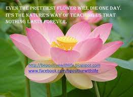 Be Positive With Life Quote With Dahlia Flowers Picture Beautiful Flower Quotes About Life 930x681 Jpg Flower Quotes Beautiful Flower Quotes Flower Quotes Life
