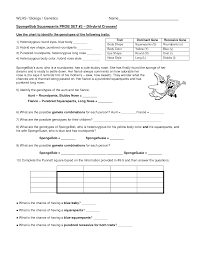 30 Monohybrid Crosses Practice Worksheet Answer Key Worksheet Project List
