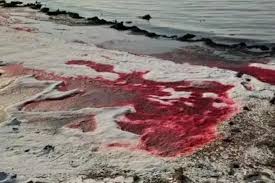Test Results Revealed After Caspian Sea Turns Red - Caspianpost.com