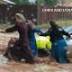 At least 12 dead in Utah flash flooding after 'wall of water' engulfs cars
