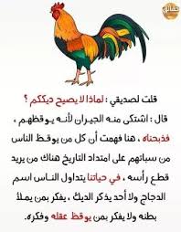 pin on حقائق مدهشة