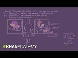 Pin On Std S Nursing
