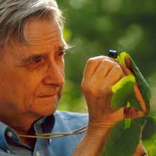 Rick Seibert (@seibert_rick)