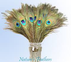 Find & download free graphic resources for peacock feather. Wedding Centerpiece Ideas With Peacock Feathers Stow Oh Patch