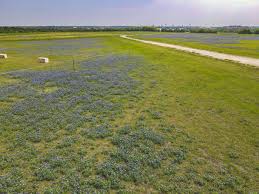 We offer a wide variety of diagnostic imaging scans as well as 3d/4d ultrasounds. City Of Round Rock On Twitter Bluebonnet Spotting At Old Settlers Park In Roundrock Texas Bluebonnets Hometown